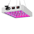 Pikkukuva 2 / 5: 3000 W LED Grow Light Hydroponinen täysi spektri sisäkasvikasvien telttalamppu 1000W-216LEDs EU Plug