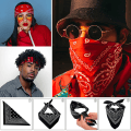 Miniatyrbillede 5 af 5: 2 stk Paisley Bandanas, Hårbandanaer til kvinder mænd, multifunktions hovedtørklæde i polyester og bomuld