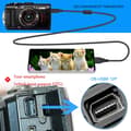Miniatyrbillede 2 af 4: Adaptere CB-USB6 12P til USB Type C OTG-kabel, til Olympus E330, E-410, E-510, E520