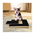 Miniatyrbild 2 av 5: Dog Nail Paw Scratch Pad - Filtrimmerbräda Trimning Scratcher Box Emery Sandpapper Filing Scratch