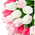 Miniatyrbild 5 av 5: Flerfärgade konstgjorda tulpaner Blommor Real Touch 24st