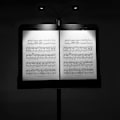 Miniatyrbild 6 av 7: Dual Head Music Stand Light med 4x LED
