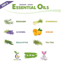 Miniatyrbild 5 av 6: Eteriska oljor set ekologiska - Doftoljor för diffusor - Eteriska oljor set 6x 10ml