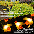 Miniatyrbilde 4 av 5: Hagebi solcelle LED-lyssnor, 6,5 m 30 lys