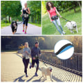 Miniatyrbilde 3 av 5: Hundpromenader Fanny Pack med handsfree koppel Justerbar löpar midja Pack Svart