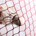 Miniatyrbild 4 av 5: 6,1m*0,75m Badmintonnät för sportträning, utomhustennisnät, mörkgrön SQBB