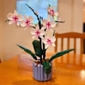 Miniatyrbild 5 av 5: Orkidé Byggklossar Blommiga Suckulenter i Krukor för 10311 Romantiskt Set Monterade Leksaker Flickpresenter