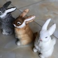 Miniatyrbillede 3 af 3: Interaktive Kaninplyslegetøj, Realistisk Kaninlegetøj Interaktivt Kaninlegetøj til Påske (brun) brown