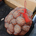 Miniatyrbild 5 av 5: Återanvändbar nätpåse, 200 bitar Nylon Mesh Vetable Nätpåse, Frukt och Vetable Pack Net, För Ägg Nätpåse, Frukt Nätpåse Ruika