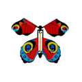 Miniatyrbild 5 av 10: 10 st Magiska Flygande Fjärilskort 3D Realistisk Flutter Dekor 3 3