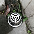 Miniatyrbilde 3 av 5: Rustfritt Stål Rennerist Rennerbeskyttelse Beskytter mot forurensning av takrør, løv, mose Hjelper med enkel drenering (passer rør 10
