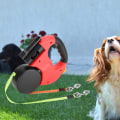 Miniatyrbilde 2 av 5: Jiawu Dobbelt Inntrekkbart Hundekobbel, 3 m Automatisk Kobbel for To Hunder