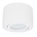 Miniatyrbilde 1 av 4: Justerbar LED-spotlight for overflate montering ?80x50mm tak