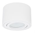 Miniatyrbillede 1 af 4: Justerbar LED-spot til montering på overflade ?80x50mm loft