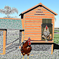 Miniatyrbild 4 av 4: Ny automatisk kycklingdörr hönshus, kycklingdörr ljusavkännande hönshusdörröppnare, automatisk kycklingdörr (färg: grön)