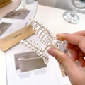 Miniatyrbilde 5 av 5: Hårklyper med perler for kvinner, 4 størrelser store medium små hårklyper sterkt grep, store bananhårklyper hårnåler sklisikre, fine