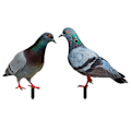 Miniatyrbild 1 av 2: 2 st Duvor Trädgårdsdekoration Markinsats Verklighetstrogen Duvskulptur Akryl Djurdekorationer-O Som Visas【HY】 As Shown 23.3X29CM