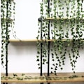 Miniatyrbillede 5 af 10: 25 meter Efeu Guirlande / Blad Guirlande - 2 m lang Green Green