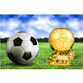 Miniatyrbilde 2 av 5: 20CM Europeisk fotball Golden Ball, harpikstrofé fan-memorabilia, ny Ballon d'Or-troféfotball for fotballkamp minnesmerke minnespris