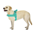Miniatyrbillede 5 af 5: Sikkerhedsreflekterende hundesele, trækfri, frontmonteret til kæledyr, Beagle Rottweiler Green L:Chest 66-84cm