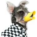 Miniatyrbillede 3 af 5: Anti-bid Andenæb Form Hundemundkurve Anti-kaldt Mundkurv Masker Kæledyr Mundsæt Bidesikker (Gul, M)