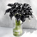 Miniatyrbild 2 av 4: 10 stjälkar Real Touch Calla Liljor Konstgjord Blombukett, Perfekt för Bröllop, Brud, Fest, Hemmakontor Dekor DIY (Svart)