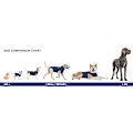 Miniatyrbillede 4 af 4: Medicinsk kæledyrsskjorte til hund, operationsdragt, zebraprint