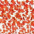 Miniatyrbild 1 av 4: Höstgirland, 10 strängar konstgjorda lönnlöv Red Maple Vine Ivy Greenery