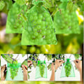 Miniatyrbild 5 av 5: 100 Stycken Fruktskyddspåse Grapefrukt Organzapåsar Med Dragsko Skyddar Mot Getingar Fåglar