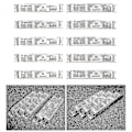 Miniatyrbillede 2 af 5: 220-240v Bredspændings T5 Elektronisk Forkobling Fluorescerende Lampe Forkoblinger Til Hjemmet 1X21W