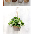 Miniatyrbilde 4 av 4: Jute Tau Hengeplanter - Sammenleggbar Sjøgress Makrame Kurv