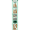 Miniatyrbild 5 av 5: T Rex Uppblåsbar Dräkt Dinosaurie Halloween Cosplay Vuxna Män Fest Klänning purple Fit Height 150-200cm