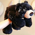 Miniatyrbilde 2 av 5: Vektet Angst Dinosaur Plysj Leketøy Kastepute/søt Dinosaur Utstoppede Dyr Dukke For Gutter Jenter-utmerket Black Bear 50cm 19.7 inch