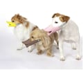 Miniatyrbillede 4 af 5: Anti-bid Andenæb Form Hundemundkurve Anti-kaldt Mundkurv Masker Kæledyr Mundsæt Bidesikker (Gul, M)