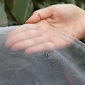 Miniatyrbillede 2 af 3: Fintmasket insektbeskyttelsesnet til have, drivhus, planter, frugter, blomster, afgrøder