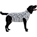Miniatyrbillede 2 af 4: Medicinsk kæledyrsskjorte til hund, operationsdragt, zebraprint