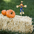 Miniatyrbilde 3 av 6: Tiltrekk 10 stk Halloween Skremsledekorasjon - 11,8 tommer Høst Høst Skremsle Thanksgiving Skremsle Høst Høst Stående Skremsle Dekor for Aut