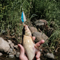 Miniatyrbillede 5 af 7: Julekalender Rovfiske 2024 med Gummibait og Matchende Krog, Fiskebaitsæt Julekalender 2024 Fisketilbehør, 24 Dages Nedtælling
