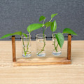 Miniatyrbild 3 av 5: 1/2/3 Glasprovrör Vas Planteringskärl Växt Terrarium för Clear 28 x 14cm 1Set