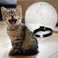 Miniatyrbild 5 av 5: 1/2/3/5 Andningsbara mesh förhindrar att katter biter och Middle 1 Pc
