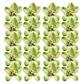Miniatyrbild 5 av 5: 1/2/3 20 st konstgjorda sidenorkidéblomhuvuden för DIY-bröllop Green 1Set