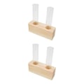 Miniatyrbild 4 av 5: 1/2/3 Glasprovrör Vas Planteringskärl Växt Terrarium för Beige 2 Tubes 2Set