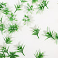 Miniatyrbild 3 av 5: 1/2/3/5 50st Model Weeds for Architecture Train Railway Wargame White 1Set