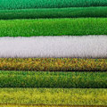 Miniatyrbild 3 av 5: 1/2/3/5 PVC Lågt underhåll konstgräs gräsmatta för realistisk 103 yellow green 1Set