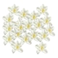 Miniatyrbild 5 av 5: 1/2/3 20 st konstgjorda sidenorkidéblomhuvuden för DIY-bröllop Off white 1Set