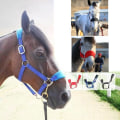 Miniatyrbild 3 av 5: Tjocka ponny Häst Halter Head Collar Ridstall Blue S