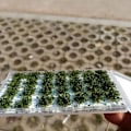 Miniatyrbild 4 av 5: 1/2/3/5 Miniature Cluster För Grass Grass Tufts Scenery Model Dark Green 1Set