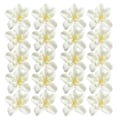 Miniatyrbild 1 av 5: 1/2/3 20 st konstgjorda sidenorkidéblomhuvuden för DIY-bröllop Off white 1Set
