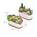Miniatyrbild 2 av 5: 1/2 2 stycken Andningsbar keramikkruka för suckulenta växter present till Planter Pot only 1 Pc