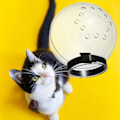 Miniatyrbild 3 av 5: 1/2/3/5 Andningsbara mesh förhindrar att katter biter och Middle 1 Pc